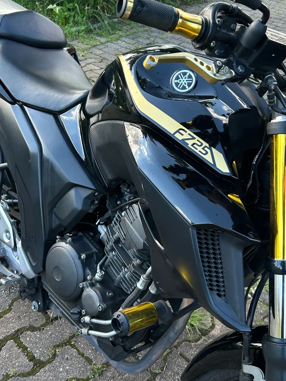 Yamaha Fazer 250 2019 - Personalizada e Impecável  - Foto 3