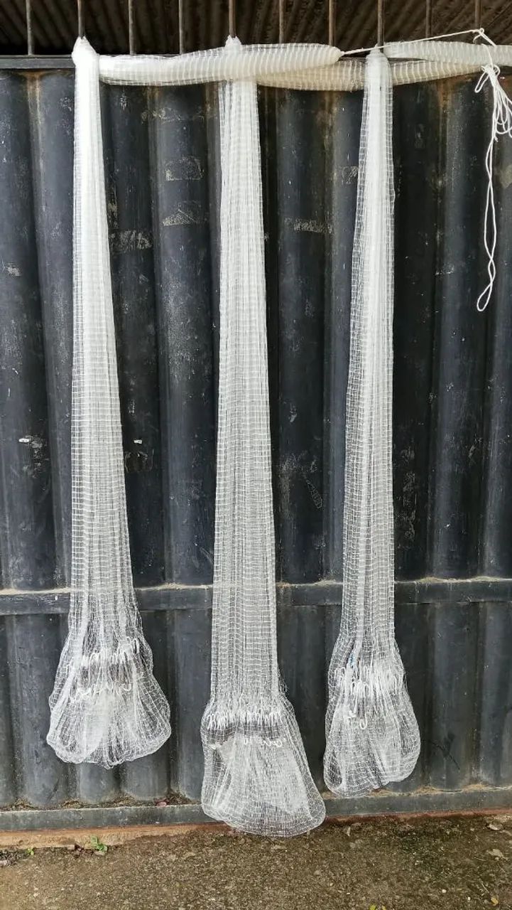 Tarrafas