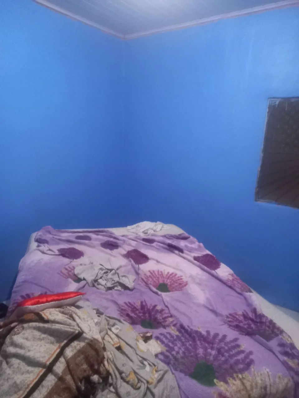 Casa - Foto 3