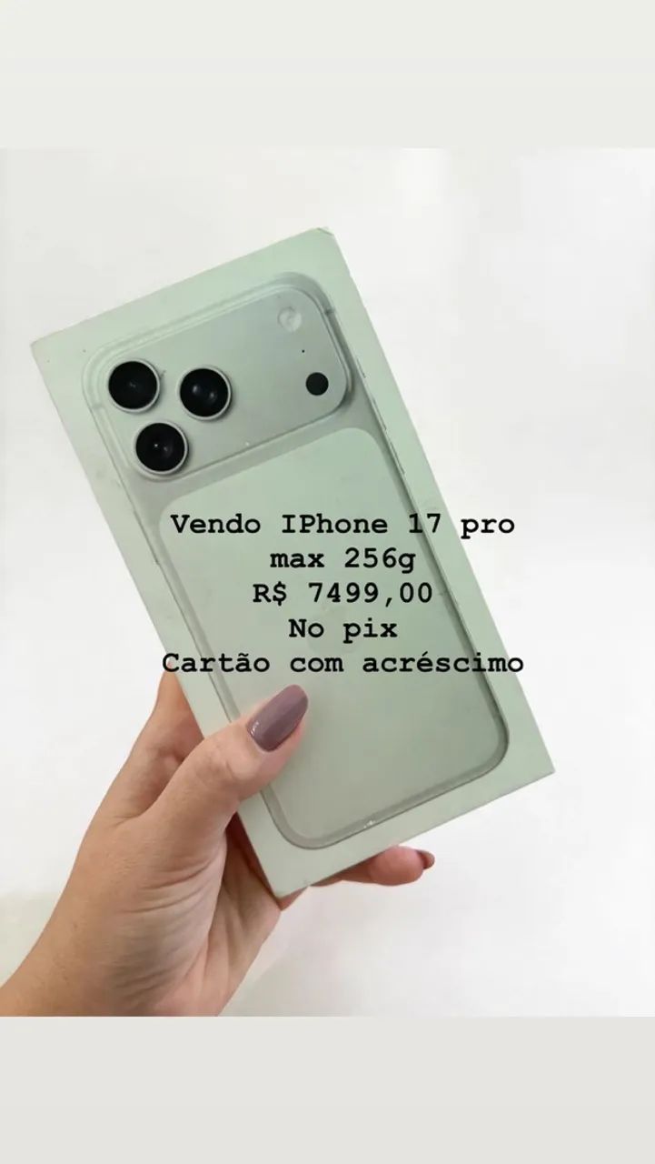 17 pro max 256g