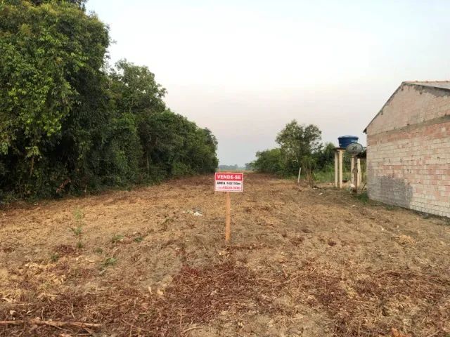 Terreno em Belterra - Foto 2