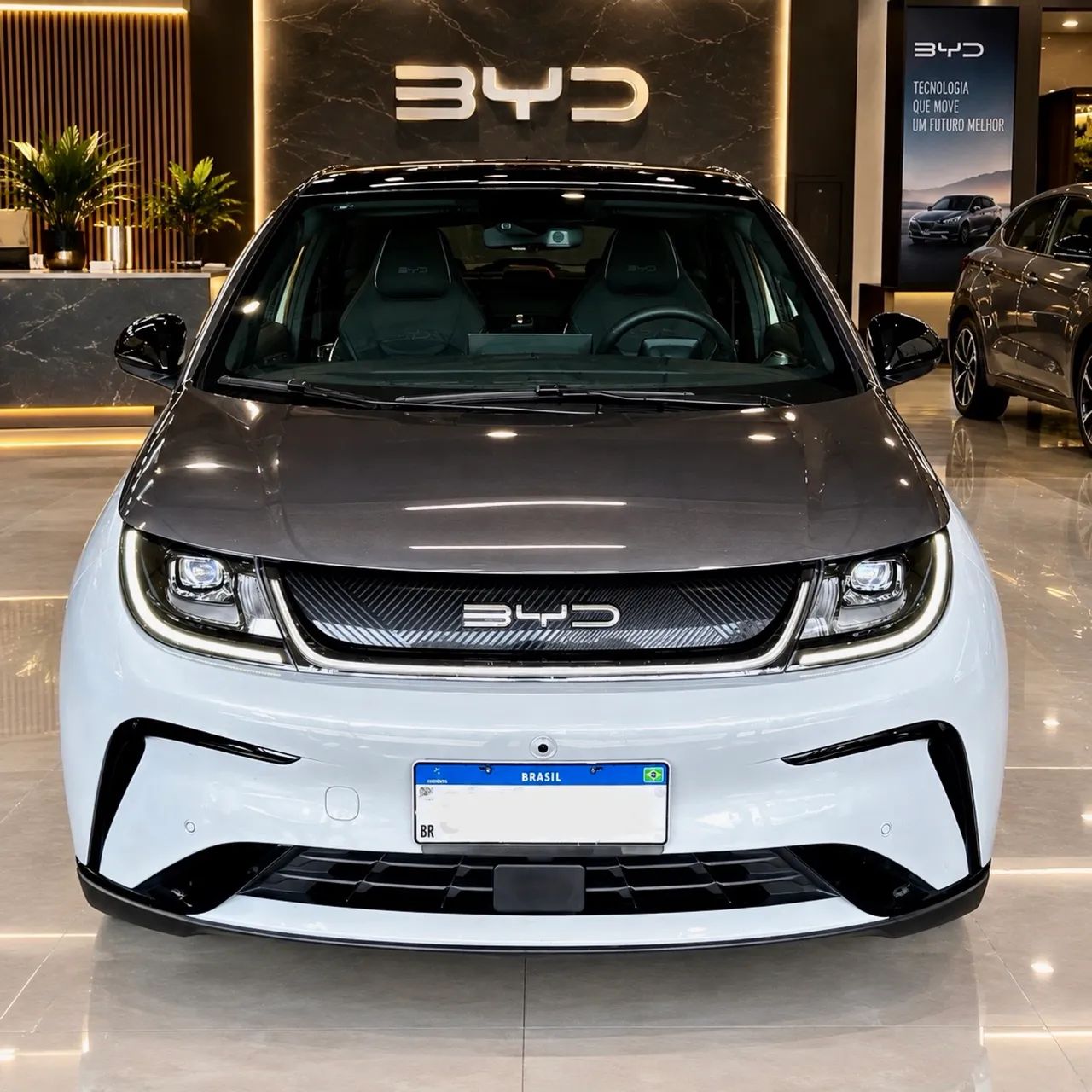 BYD Dolphin Plus (Elétrico) 2024 - Foto 2