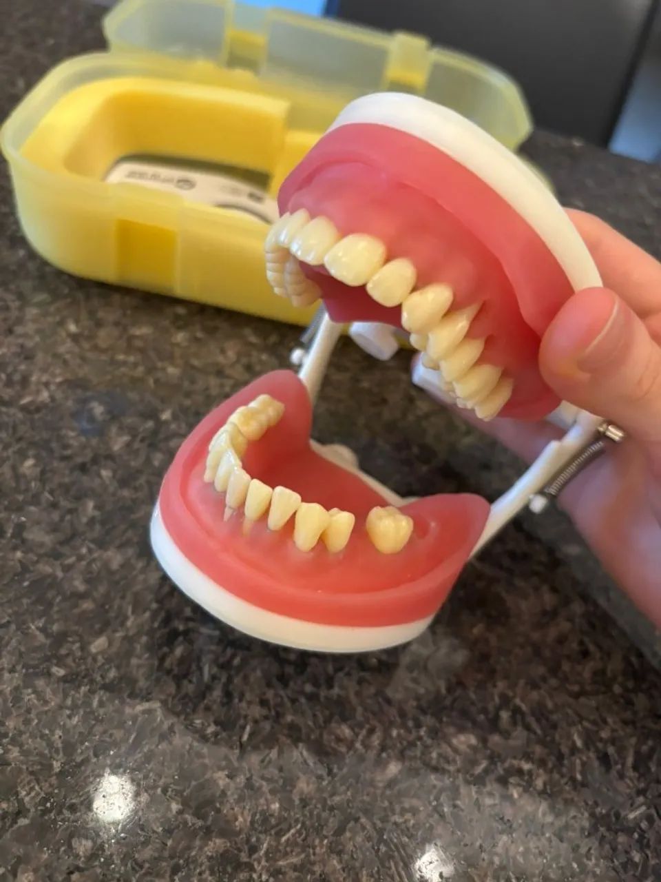 Manequim Periodontia - Foto 2