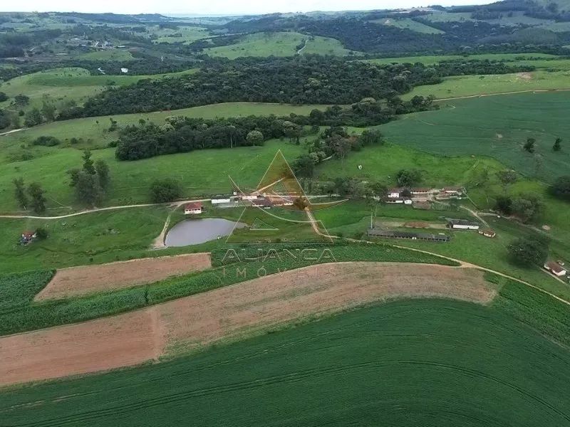 Fazenda - São José do Rio Pardo - Zona Rural