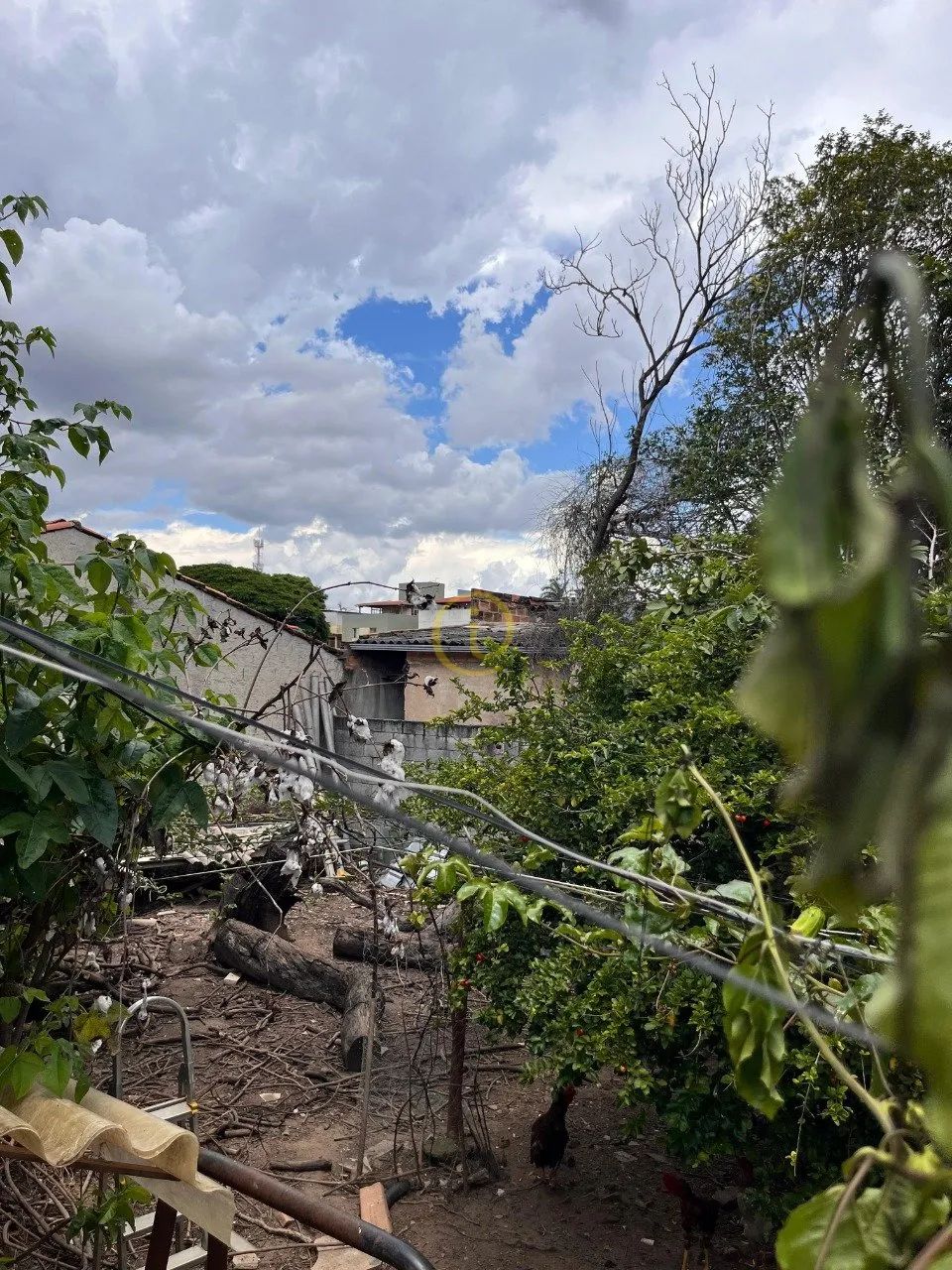 Galpão para Aluguel no Paquetá, BH - Foto 7