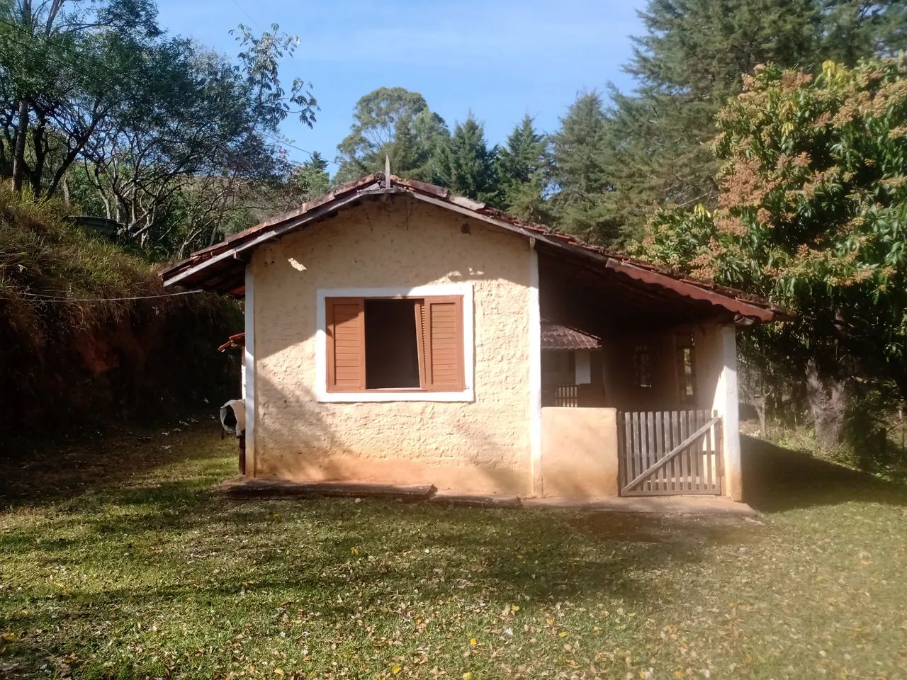 SÍTIO COM 30.7 HECTARES EM JAMBEIRO - Foto 5