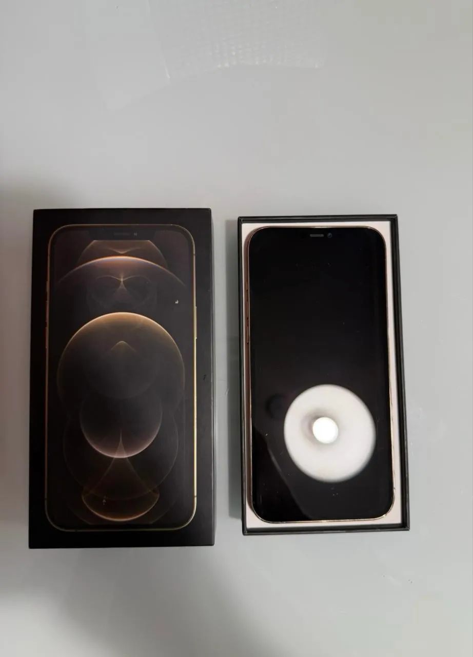 iPhone 12 Pro Max