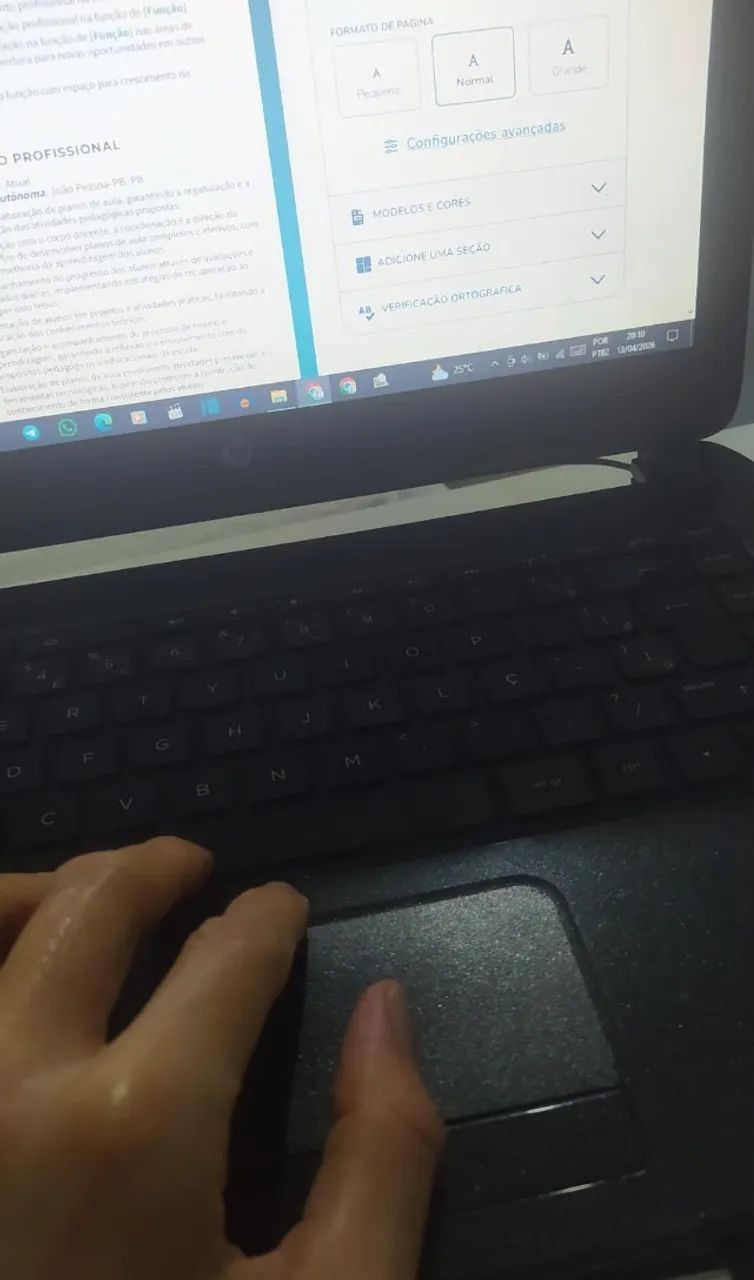 Currículo Profissional - R$ 30,00
