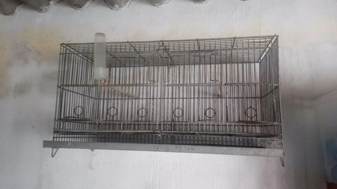 Gaiola  - Foto 3