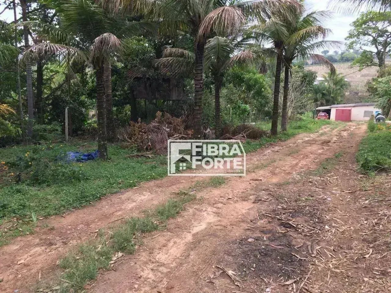 Chácara a Venda Vila Saltinho Campinas - Foto 4