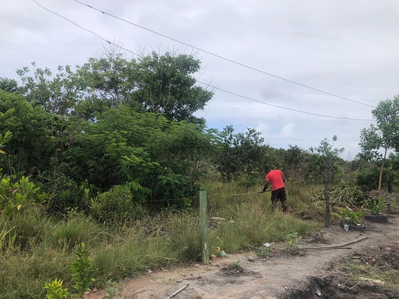Terreno 