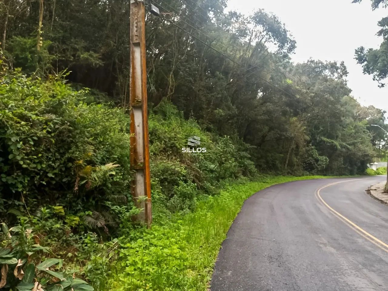 Terreno com 66.589 m² de área total à venda no bairro Ferraria em Campo Largo/PR - Foto 6