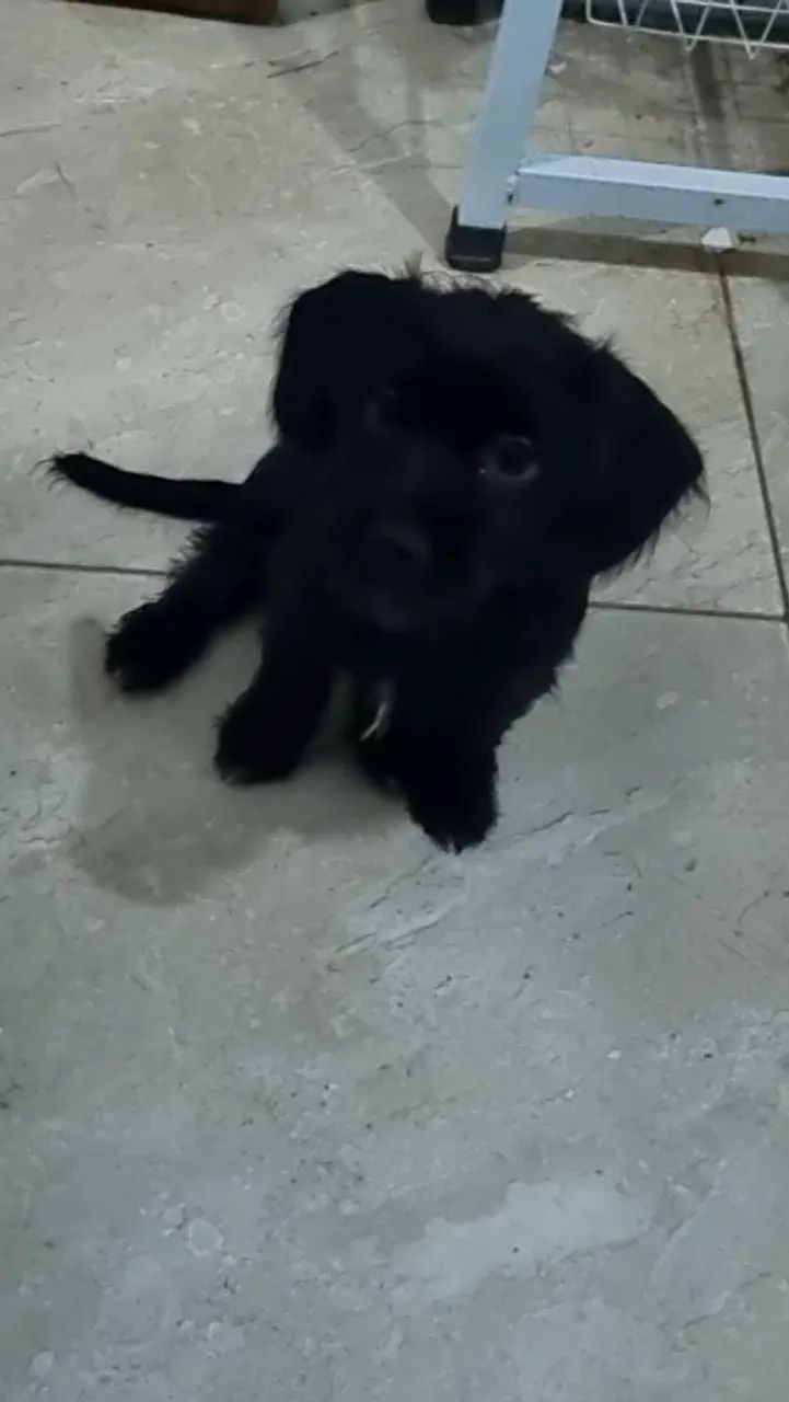 Doação responsável