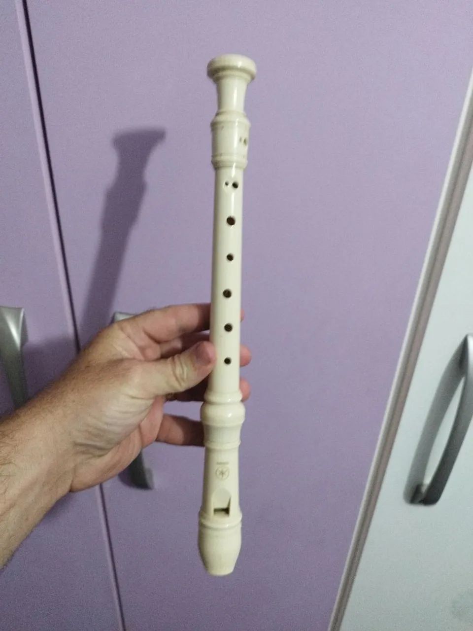 Flauta Doce 
