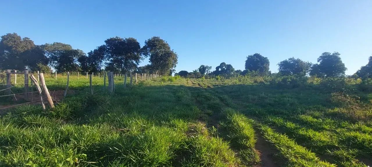 CÓD 595  Arrendamento para Pecuária | Corguinho/MS - Foto 5