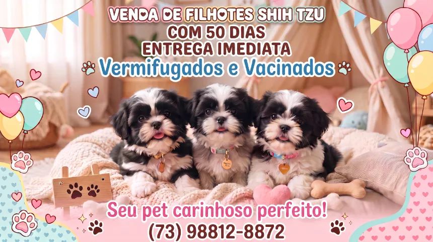 Shih Tzu