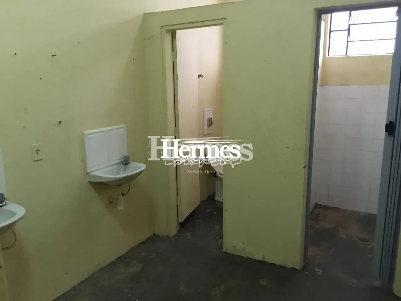Barracão à Venda em Barão Geraldo, Campinas, com 315 m² - Foto 4