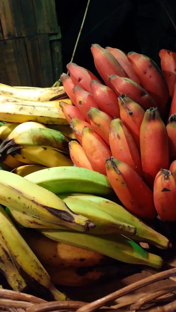 Banana roxa  - Foto 4