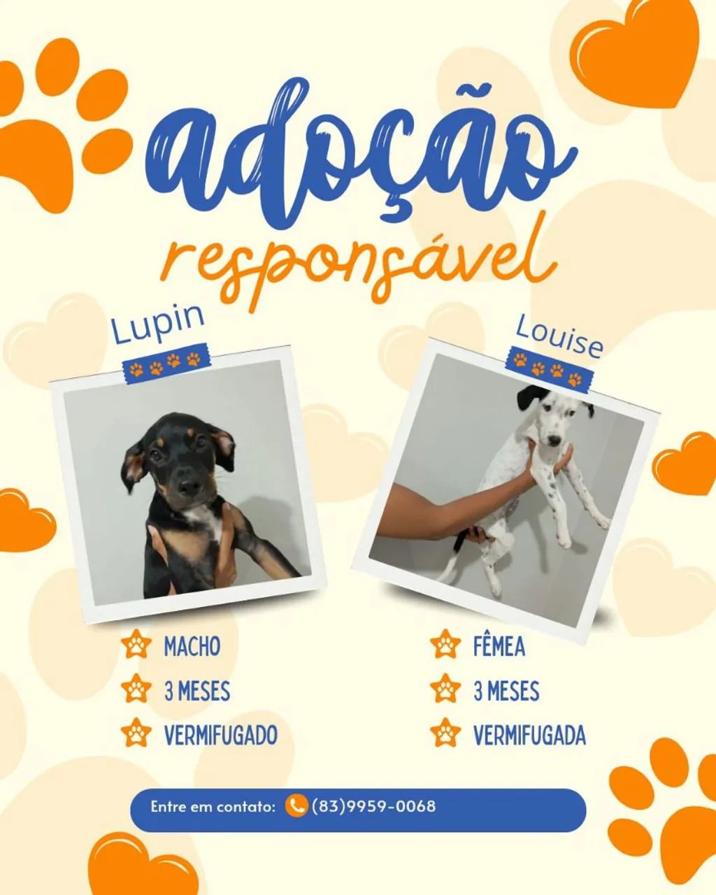 Adote com responsabilidade!