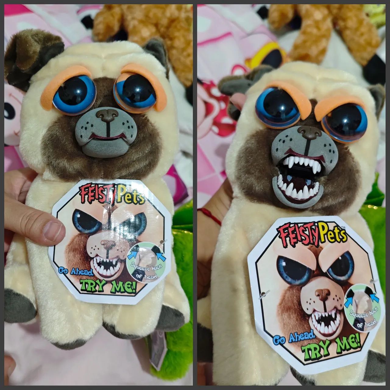 Feisty - Foto 5