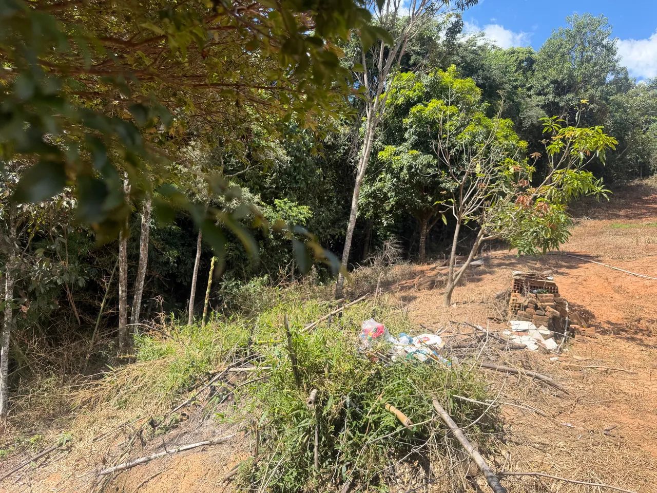 Sítio em piracema mg  - Foto 2