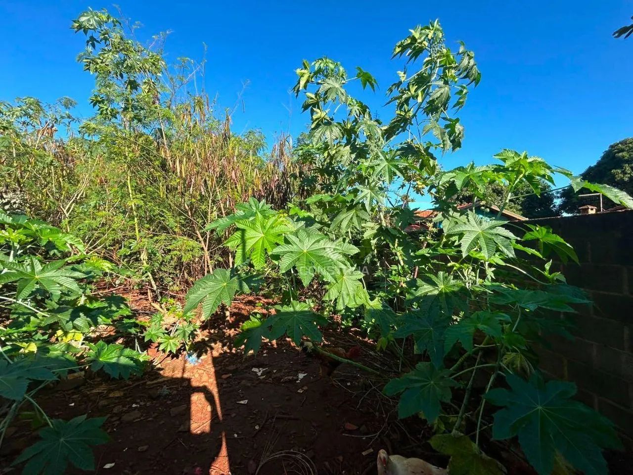 TERRENO À VENDA NO BARÃO GERALDO EM CAMPINAS/SP - Foto 4