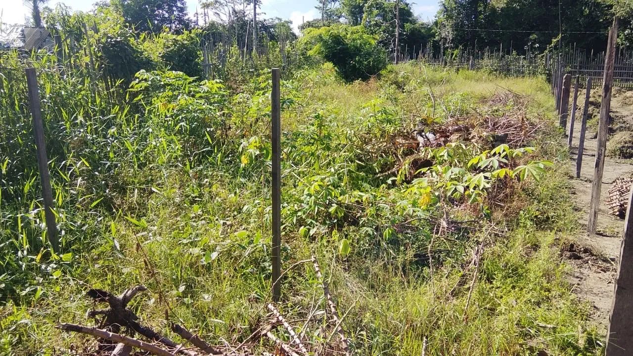 Terreno em Benfica a venda  - Foto 2