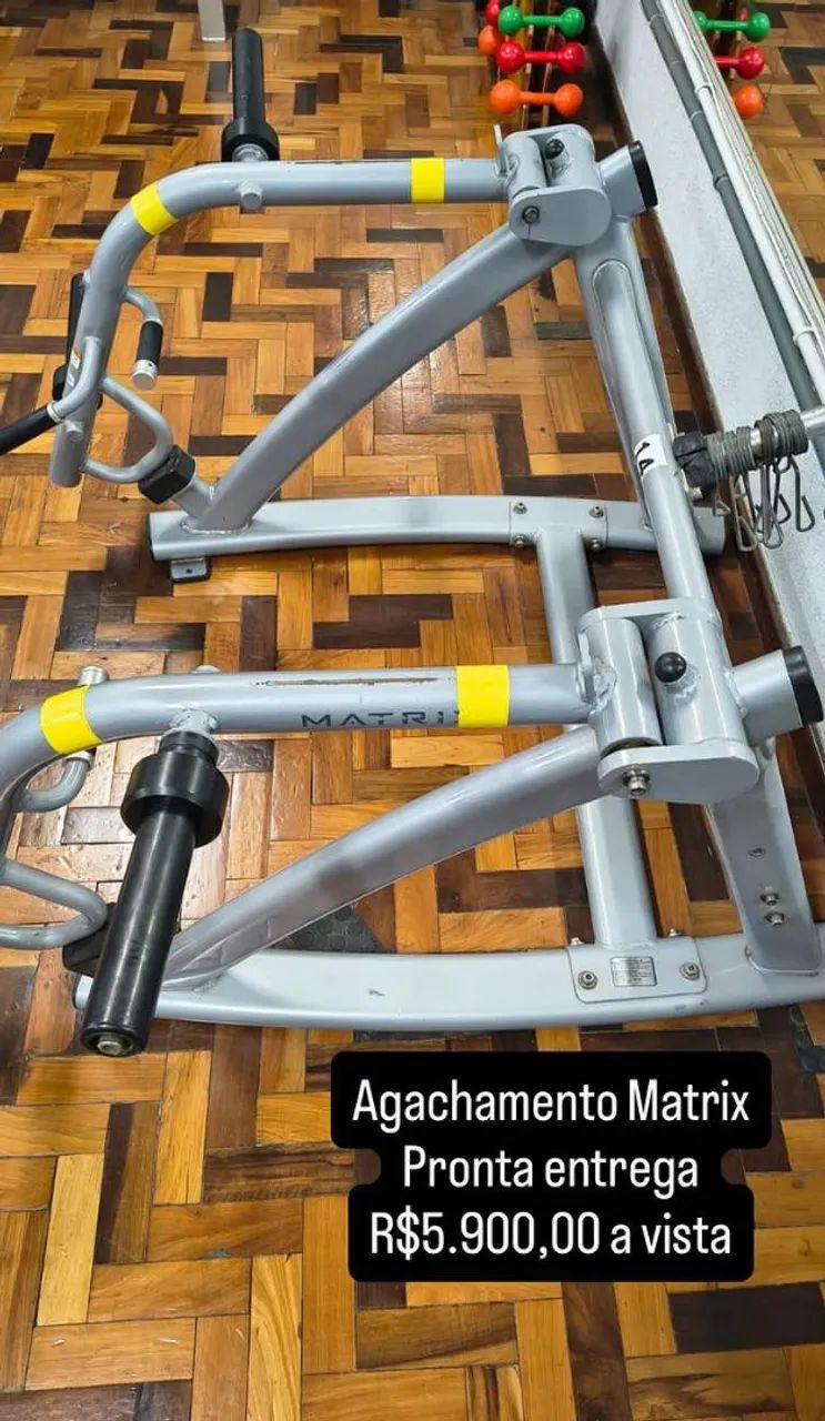 Agachamento Matrix 