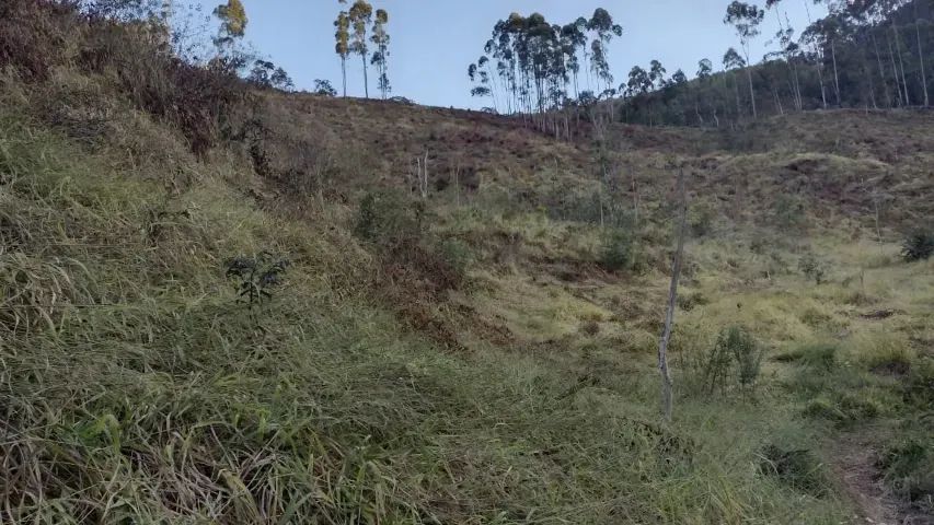 Lindo sitio de 35.000m2 no Sul de Minas!! Delfim Moreira MG - Foto 9