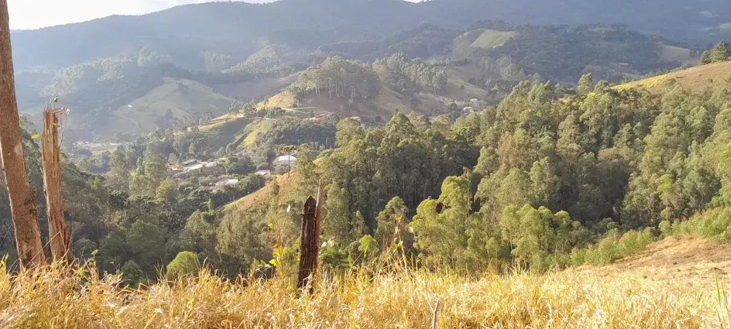 Lindo sitio de 35.000m2 no Sul de Minas!! Delfim Moreira MG - Foto 2