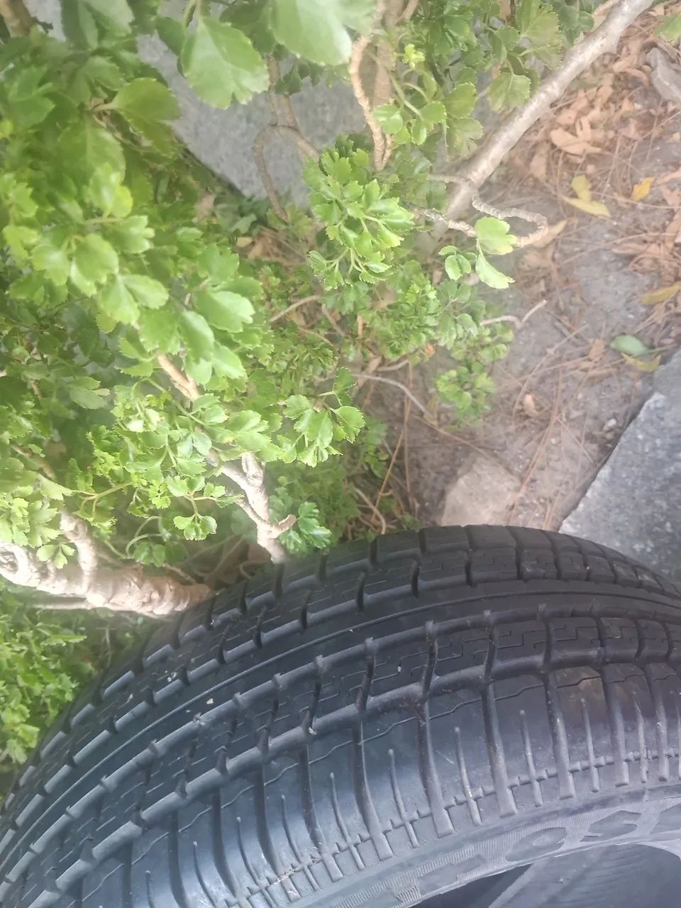 Pneu 185/60-14,firestone 