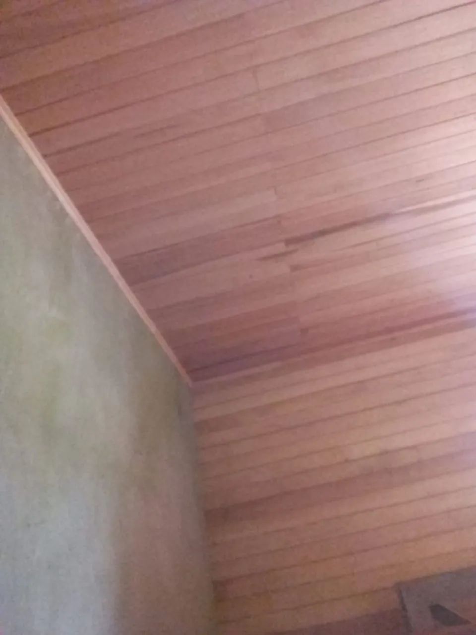 HILÁRIO dos Santos Machado  - Foto 4