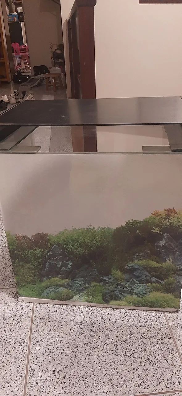 Aquário e  acessórios  - Foto 4