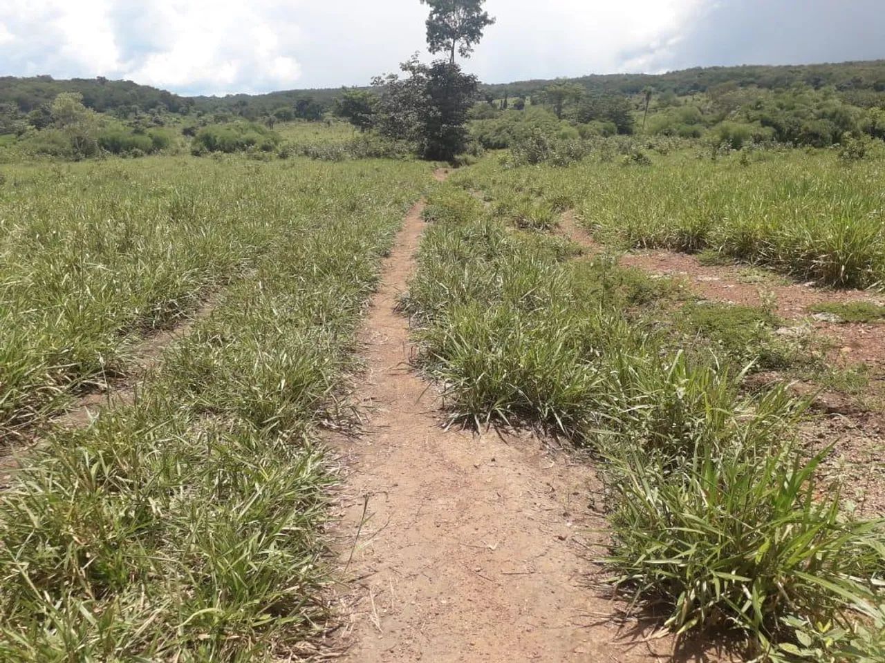 Fazenda para Venda em Barrolândia - Foto 2