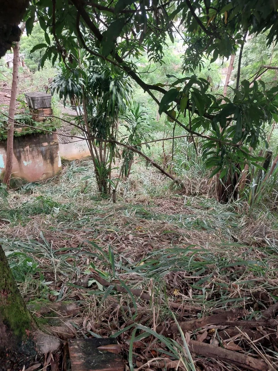 Lote a venda na balança 