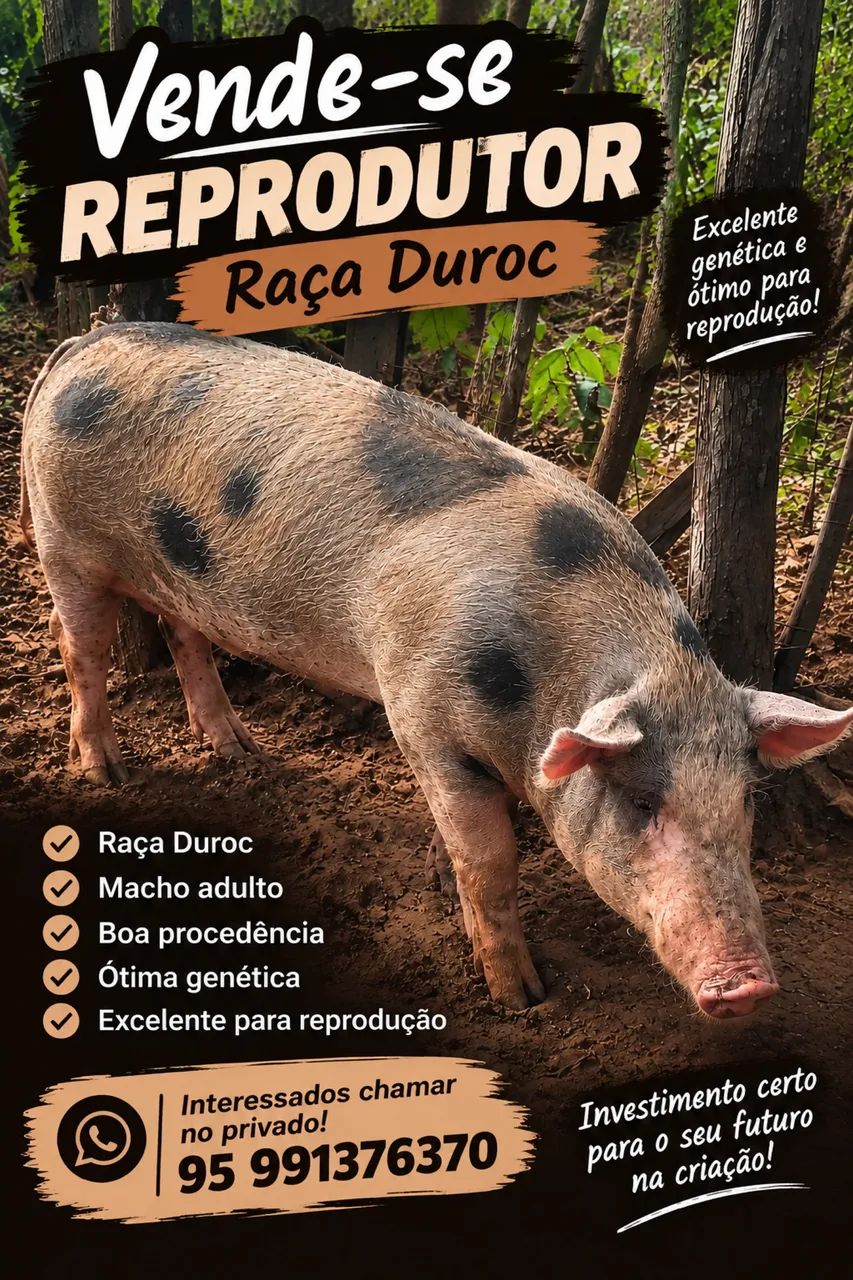 Porco