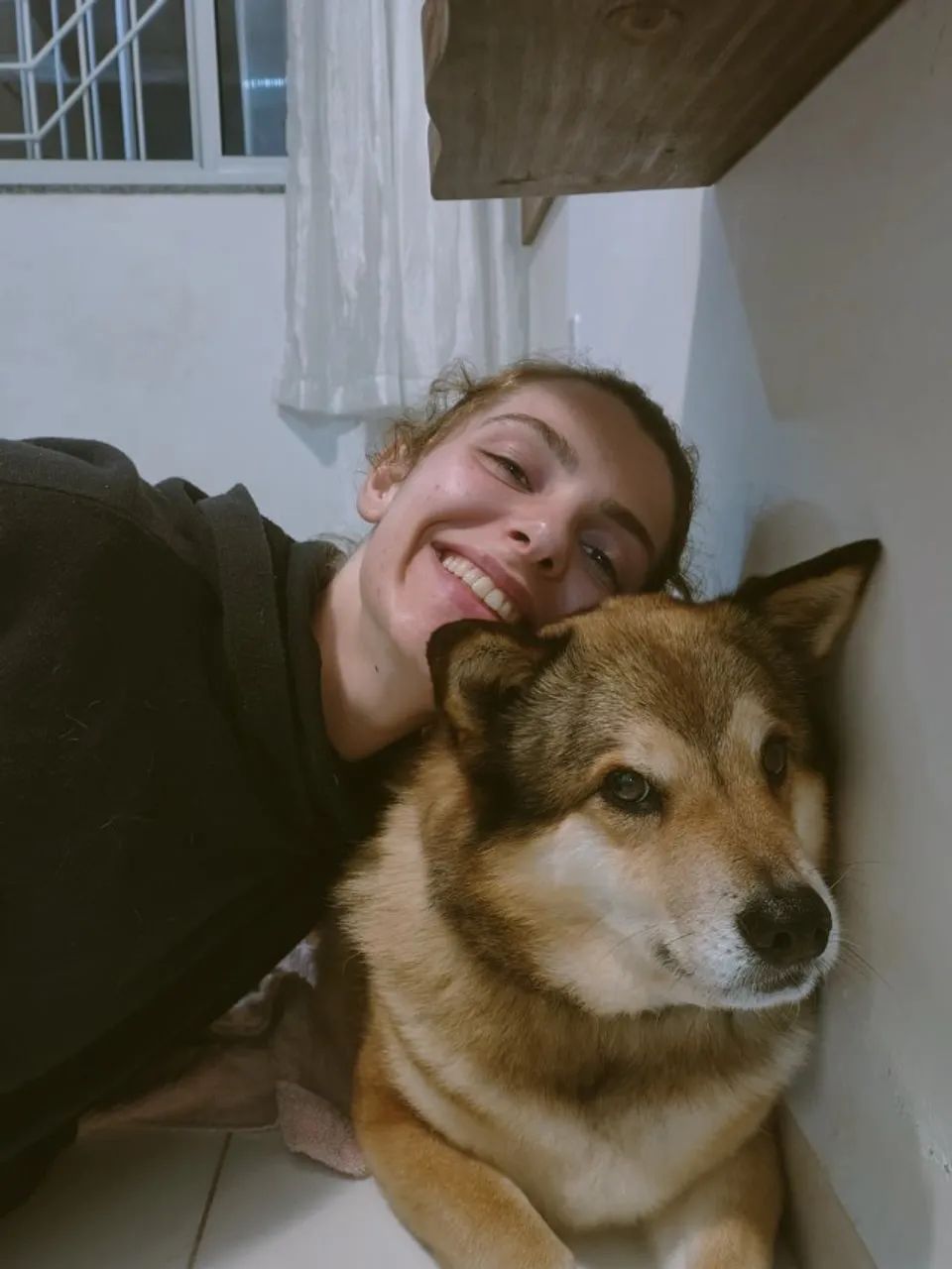 Babá de pet e Passeadora de cães - Foto 2