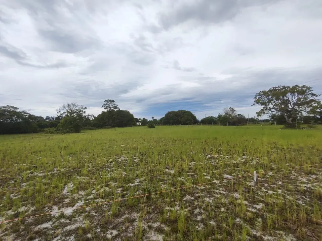 Area na Penha Quissamã com 5 Mil M2 - Foto 5