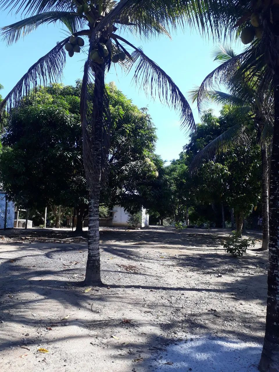 Vendo - Foto 3