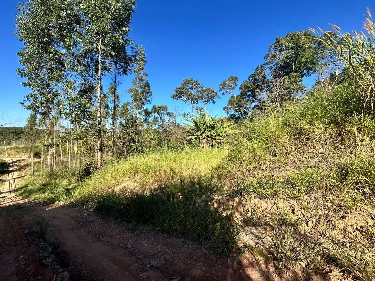 Conheça um lote de 1.000m² em localização privilegiada - Foto 3