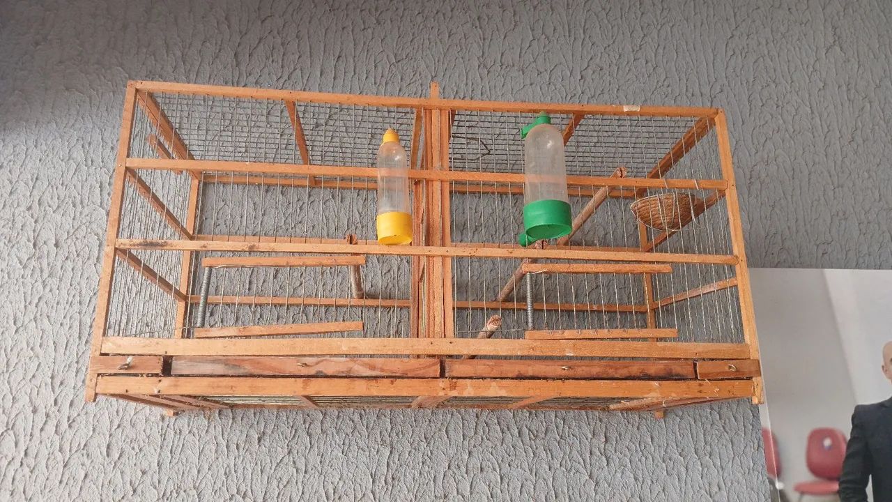 Gaiolas - Foto 2