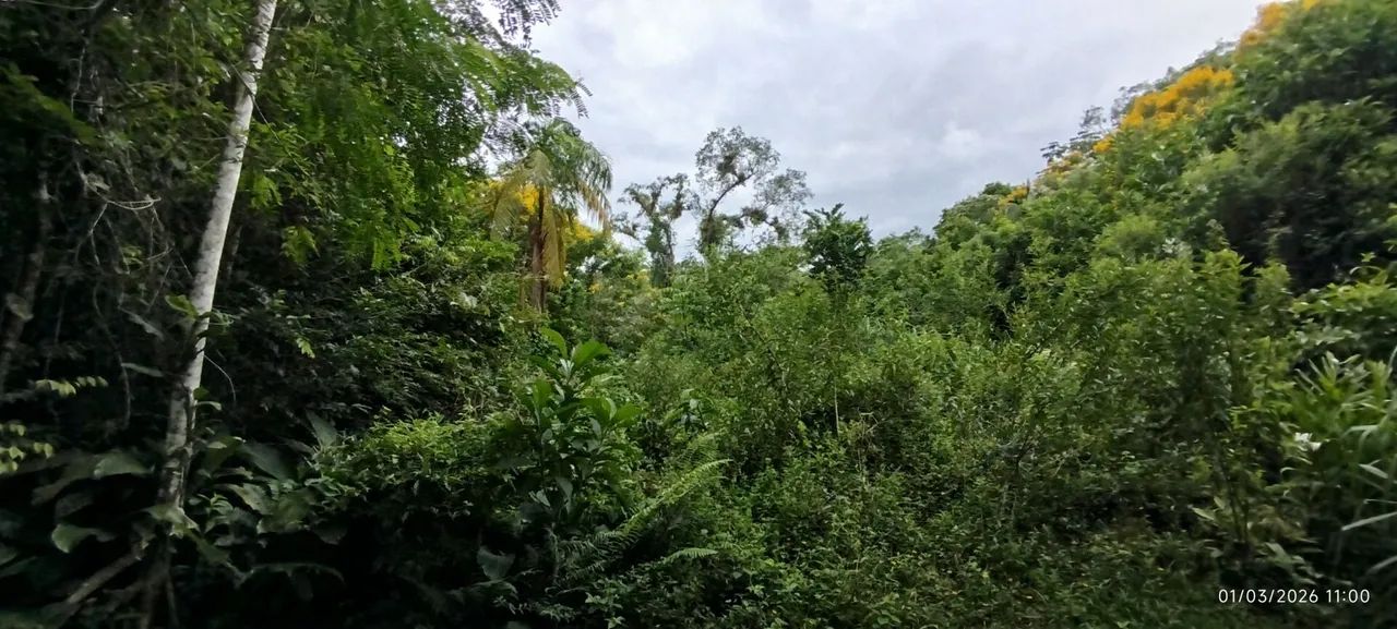 Lotes a Venda em Morretes - Foto 4