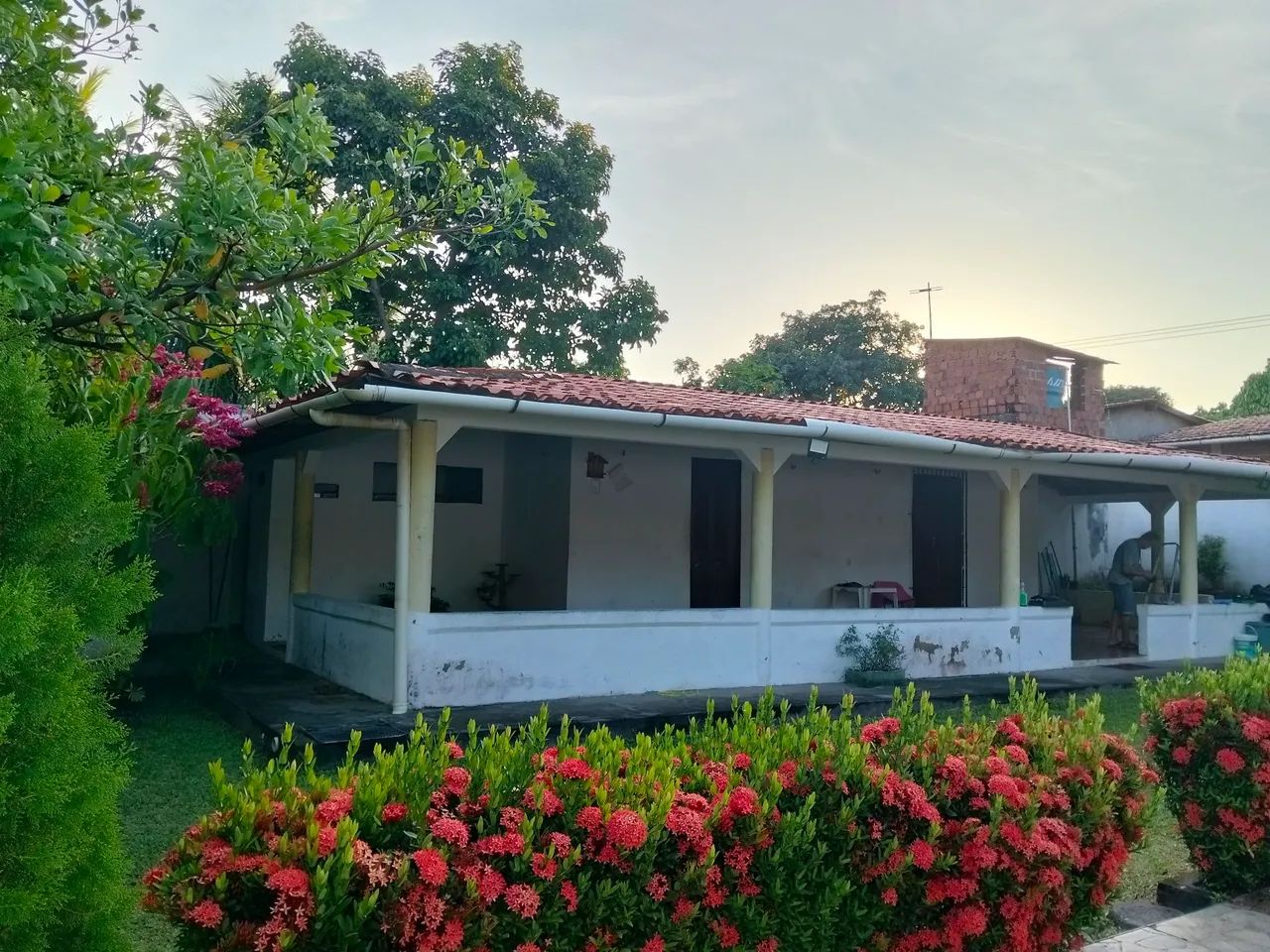 Chácara aluguel - Foto 2
