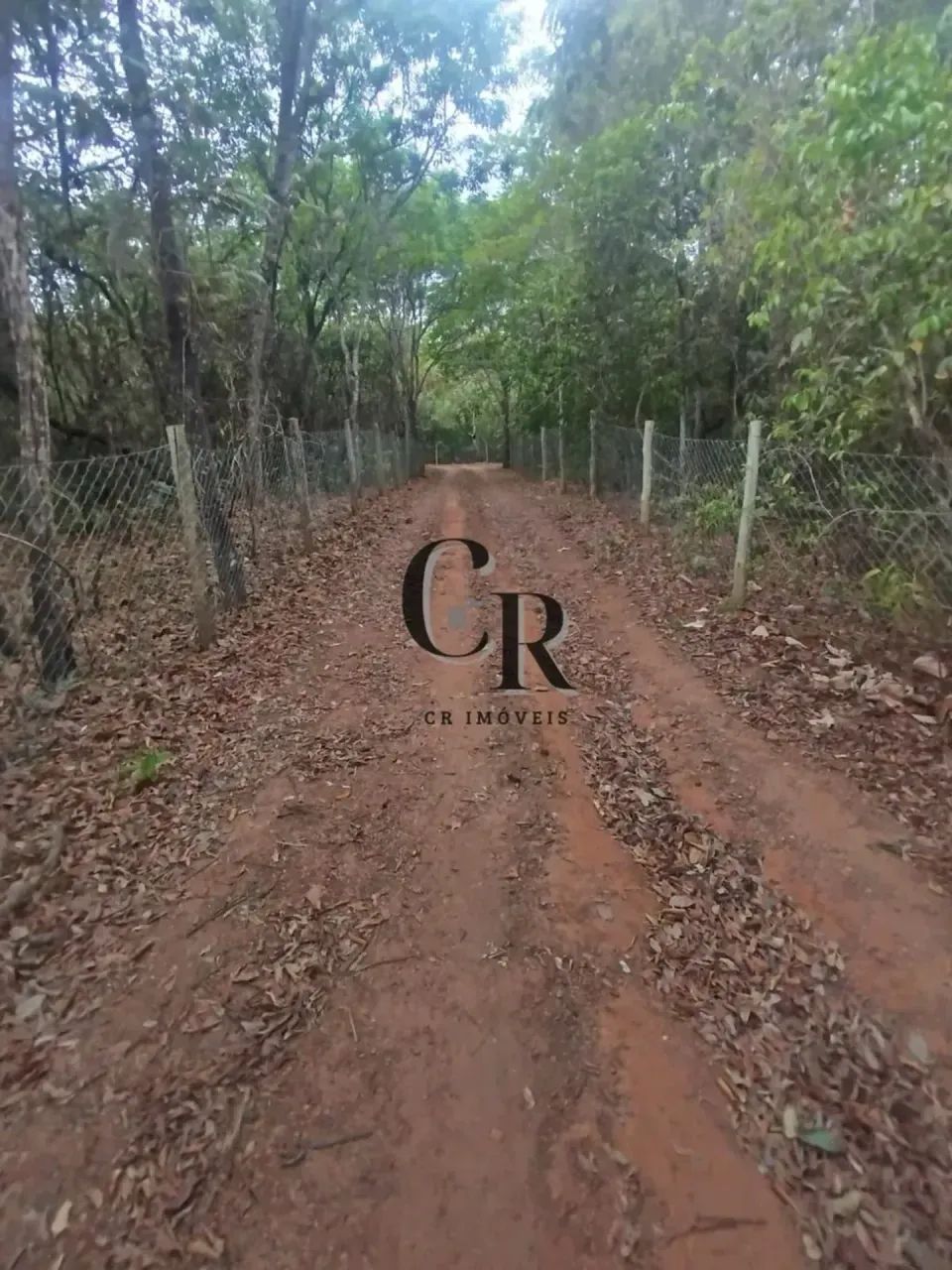 Chácara em Cezarina - Foto 2