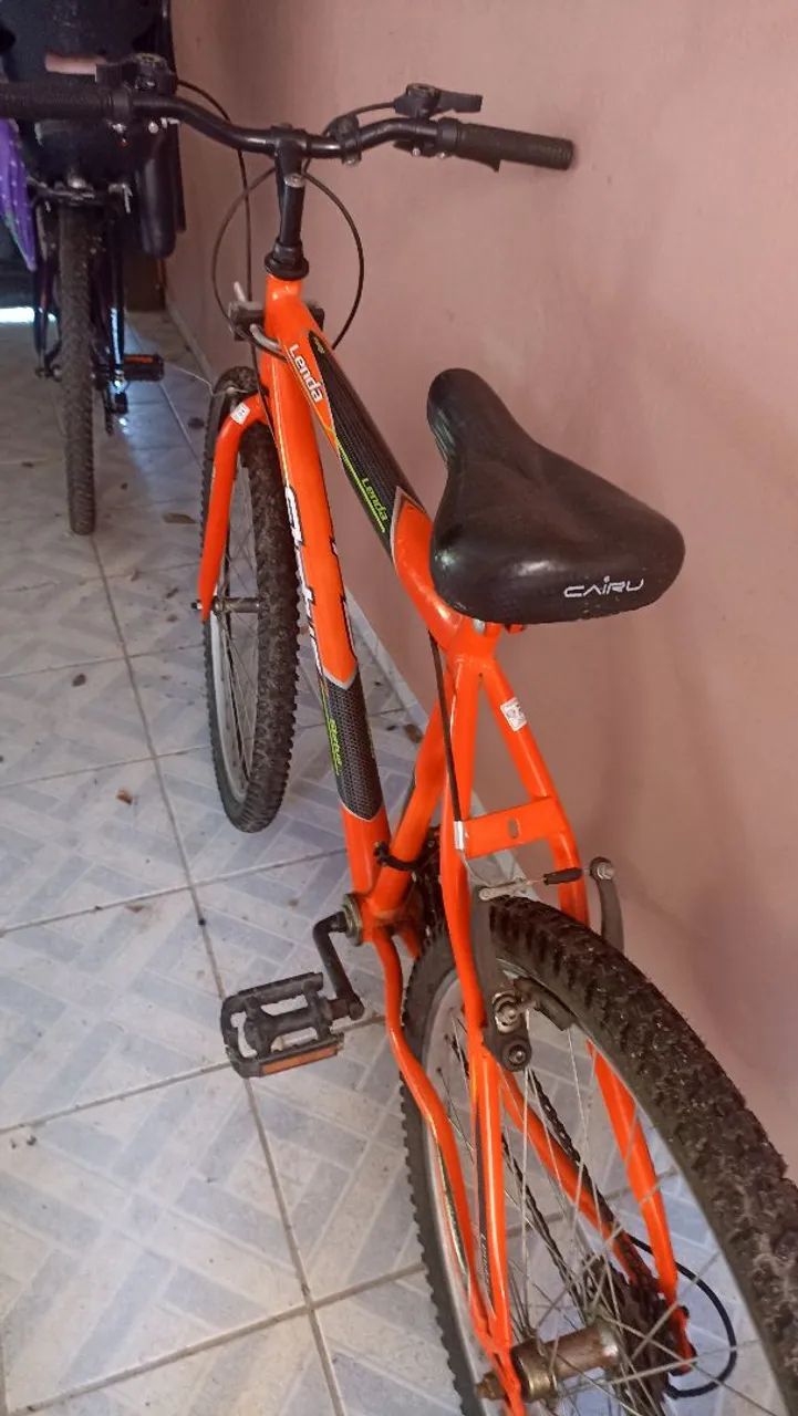 Bicicleta adulto