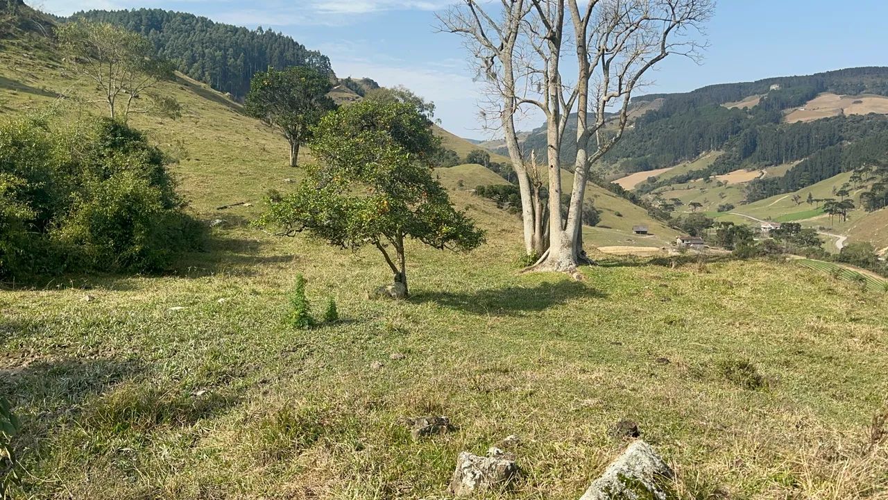 Terreno com Chalé e Galpão Coletivos  - Foto 4