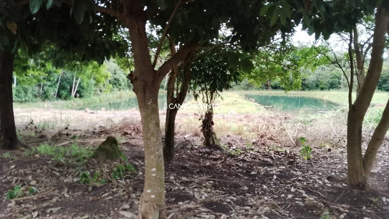 Imóvel Rural - Foto 5