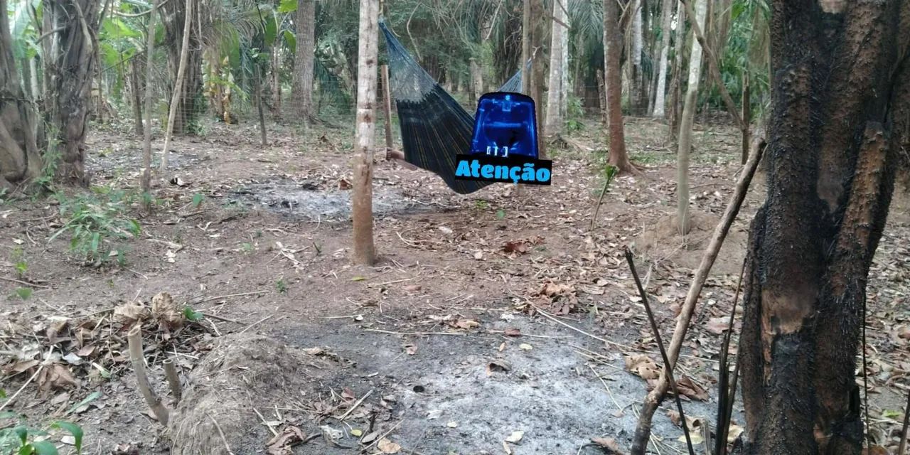Vendo chácara 30 de frente 100 de fundo - Foto 5