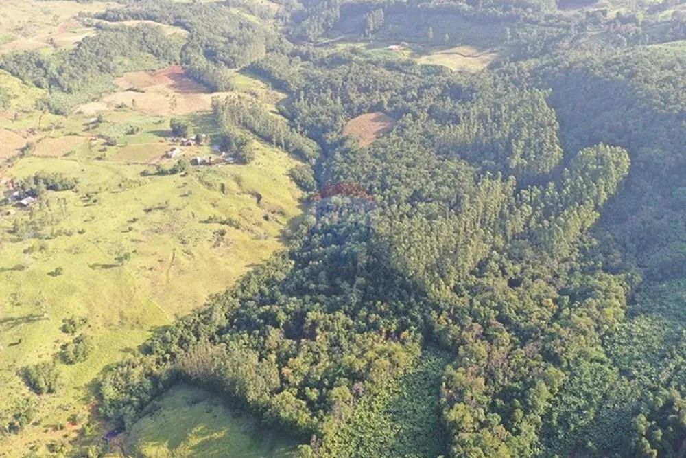 Área Rural de 150.000m² no Engenho Velho em Jacinto Machado - Foto 5