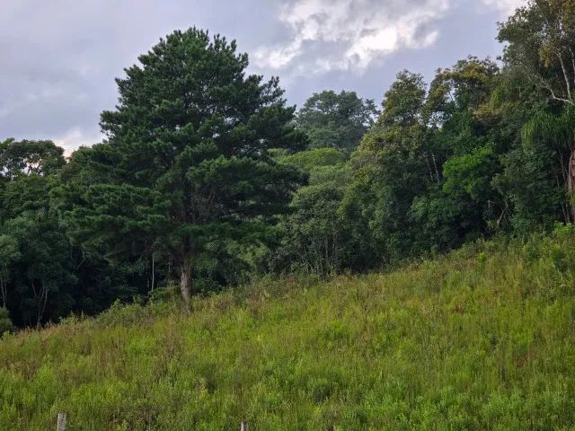 Foto - Mandirituba - 